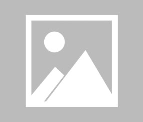 归来的奈克斯特雷迪-开云体育官网