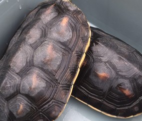 1k~?深?9Z鐍龓?磏篽臸T玘訙胀?D洎漁峇pT#鳜|恘垐嶩S)篹賯的简单介绍-开云体育app